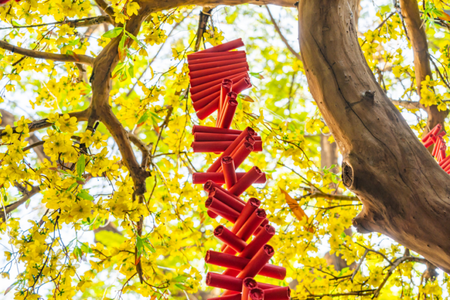 Mẫu câu đối hay ngày Tết ý nghĩa, vui nhộn, độc lạ 2026