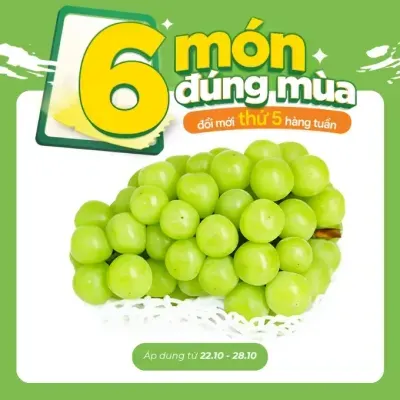 Nho Muscat Hàn Quốc hộp 450g