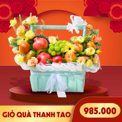 Giỏ quà trái cây Thanh Tao (1 Giỏ)