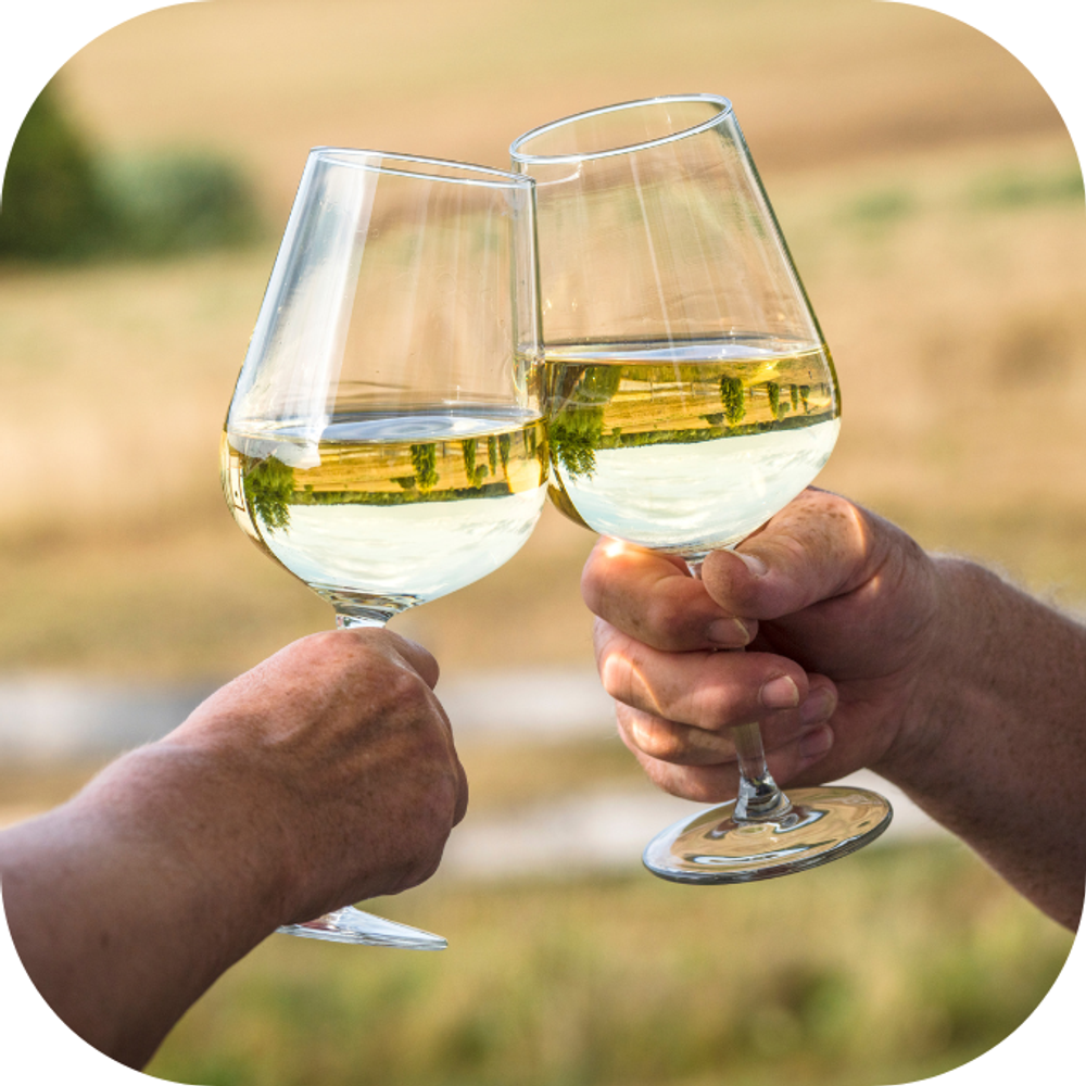 Rượu vang trắng Kingfoodmart