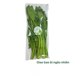 Cải bó xôi Đà Lạt gói 300g (1 Gói)