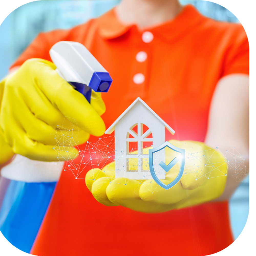 Dọn dẹp nhà không hóa chất Kingfoodmart