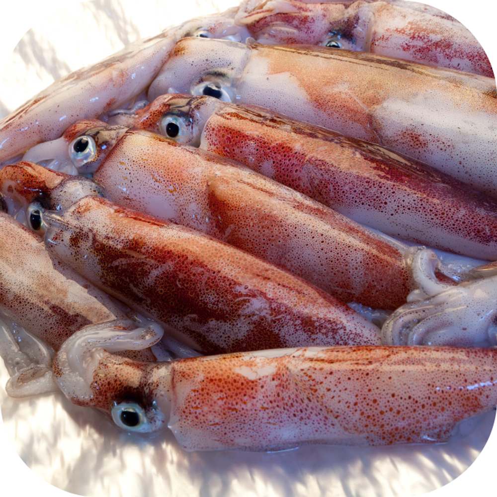 Cháo mực tươi với đậu xanh, bí đỏ Kingfoodmart