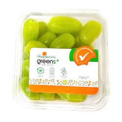 Cà chua Ngọc Bích Dalat Hasfarm hộp 300g (1 Hộp)