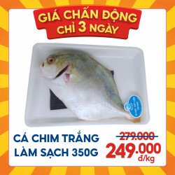 Cá chim trắng làm sạch 350g (1 vỉ)