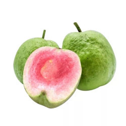 Ổi ruby ruột đỏ vỉ 850G (1 Vỉ)