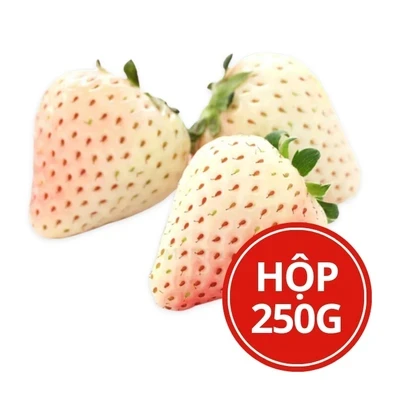Dâu bạch tuyết hộp 250g