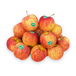 Táo New Zealand Gala (1KG)