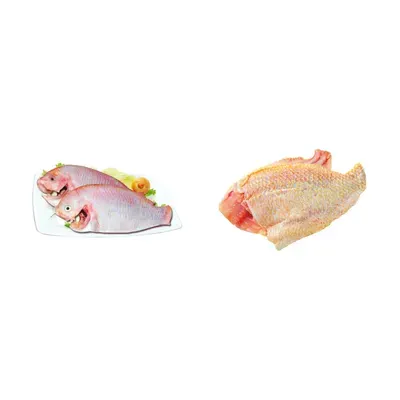 Combo Cá diêu hồng làm sạch VietGAP vỉ 500g (1 Vỉ) + Cá diêu hồng phi lê VietGAP vỉ 300g
