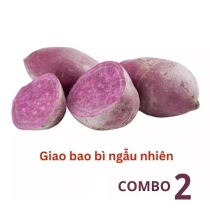 Combo 2 túi khoai lang tím xuất khẩu 500g