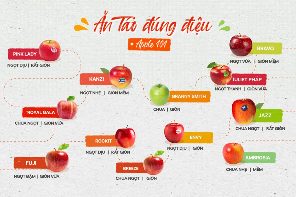 dac-trung-huong-vi-cac-loai-tao-nhap-khau