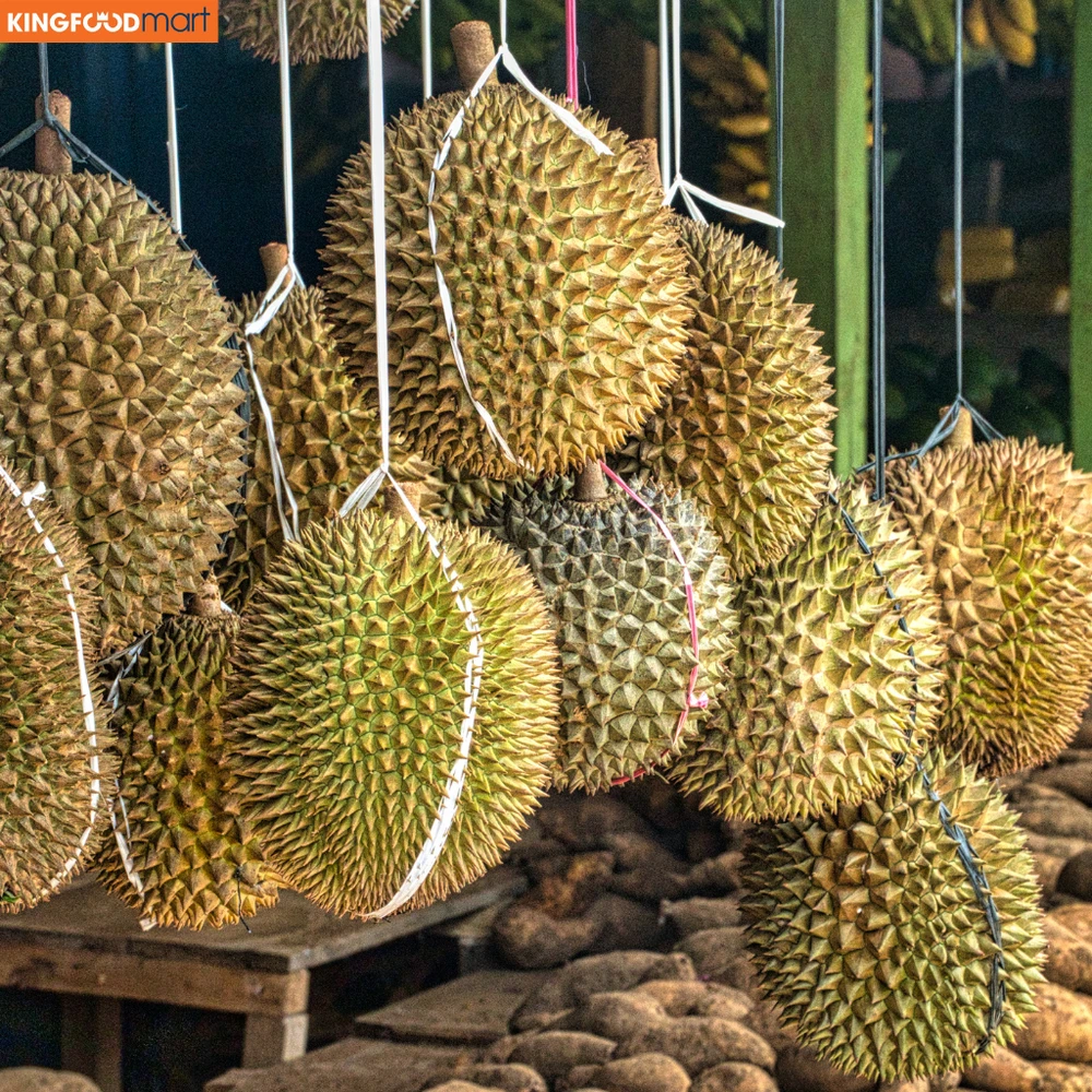 Sầu riêng Ri6 và Musang King với màu vàng đặc trưng, "cực phẩm" luôn được săn đón tại các nhà vườn với mức giá ổn định.