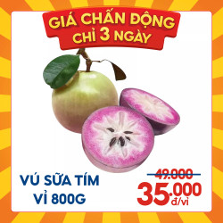 Vú sữa tím vỉ 800g up (1 vỉ)