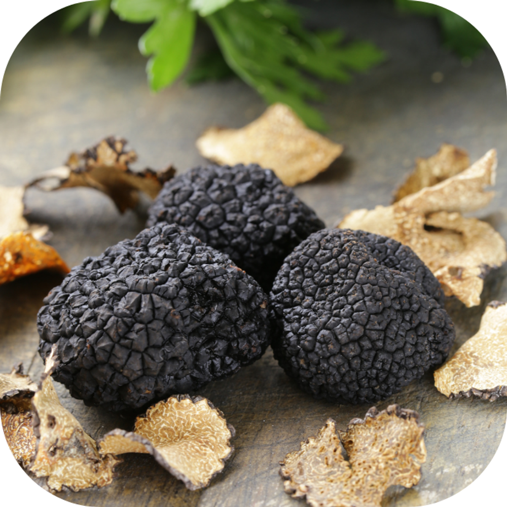 Nấm Truffle Kingfoodmart