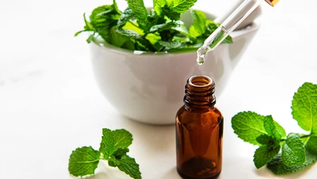 Công dụng thần kỳ của lá bạc hà cho sức khoẻ
