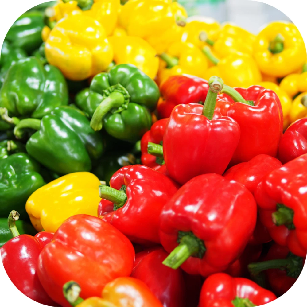 Ớt chuông Kingfoodmart