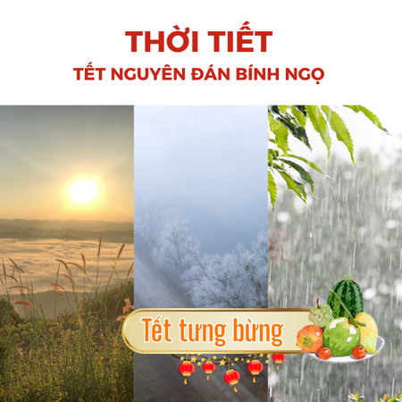 Dự báo thời tiết Tết Nguyên Đán 2026 tại TP.HCM