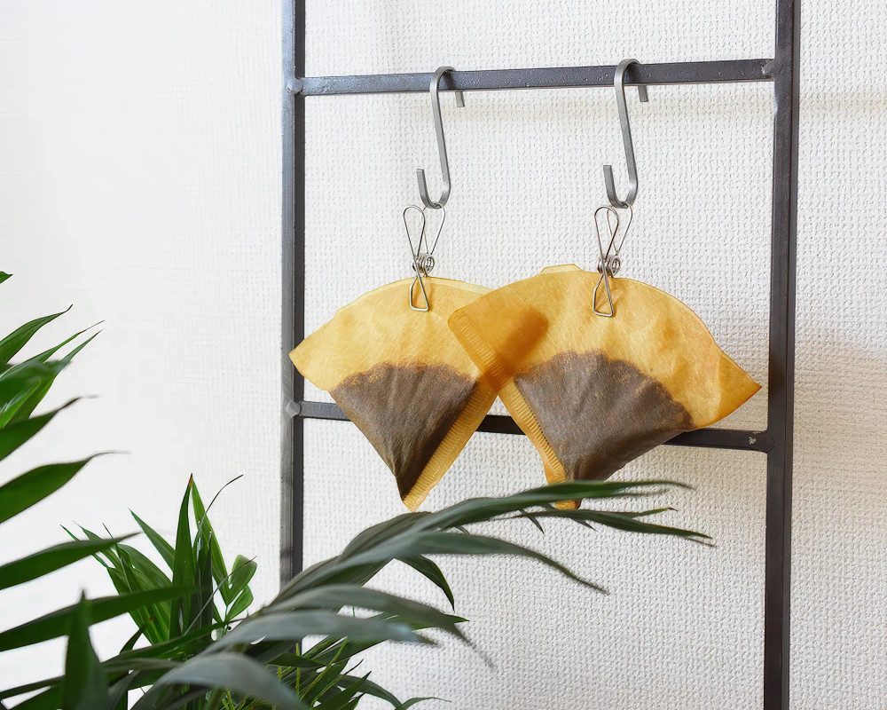 túi giấy lọc chứa bã cà phê ướt sau khi pha được treo bằng kẹp trên móc kim loại để phơi khô, chuẩn bị cho việc tái sử dụng bã cà phê làm phân bón, khử mùi hoặc các mục đích khác trong nhà và vườn