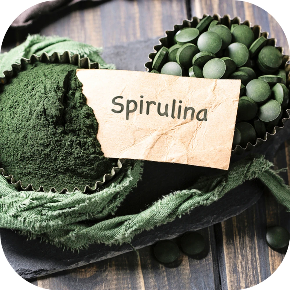 Tảo Spirulina