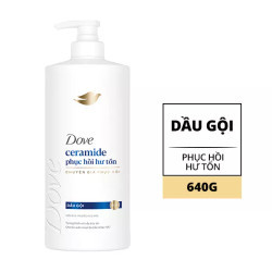 Dầu gội phục hồi hư tổn Dove chai 640g (1 Chai)
