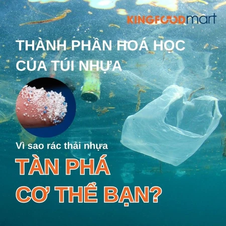 Thành phần hóa học của túi nhựa & Tác hại túi nhựa đến sức khoẻ