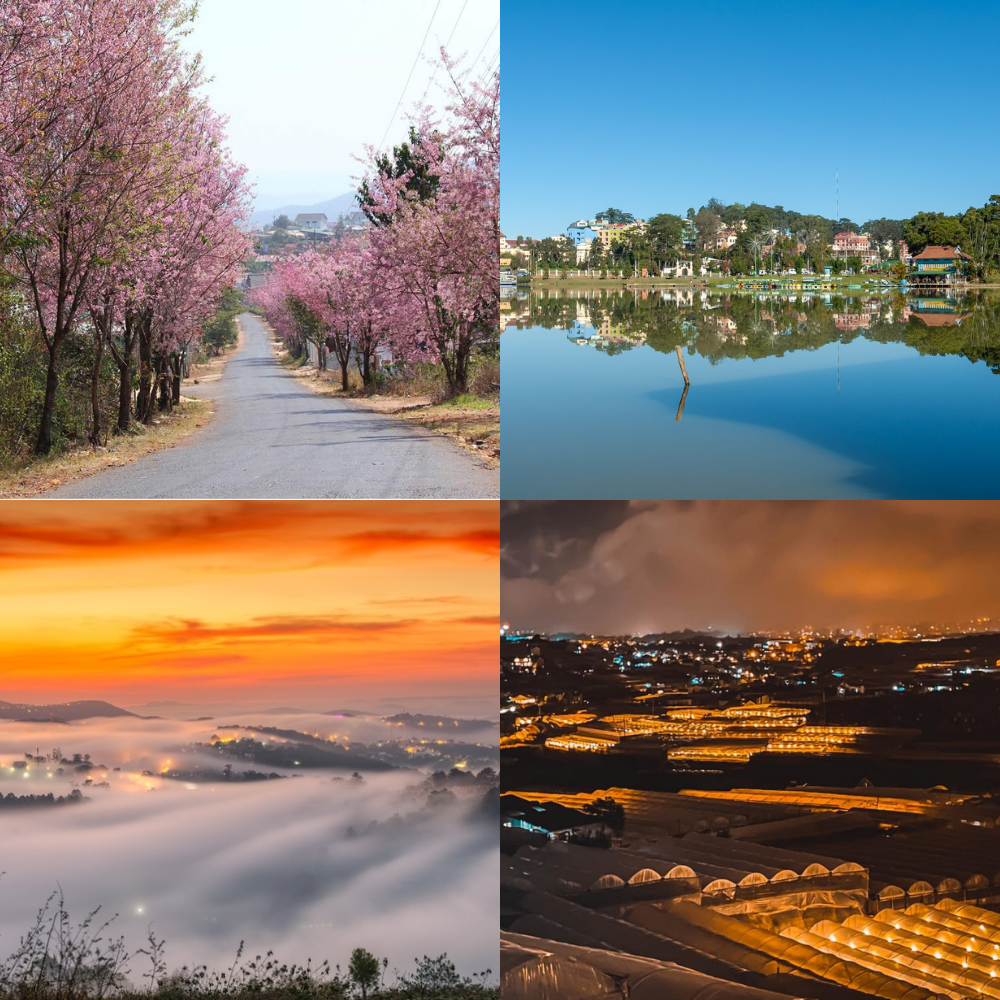 Du lịch Đà Lạt mờ sương vào Tết Bính Ngọ