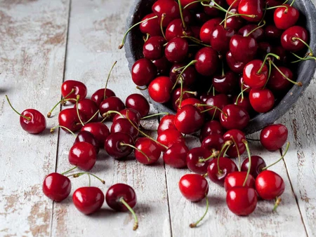 Cherry Tasmania có những giống nào?