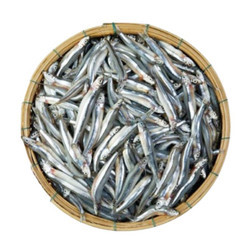 Cá cơm than vỉ 300g (1 Vỉ)