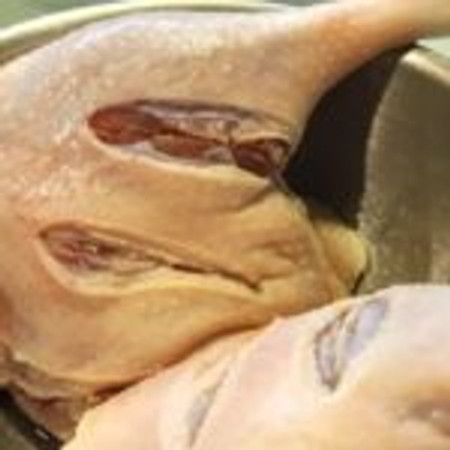 Bệnh viêm khớp có nên ăn chay? 