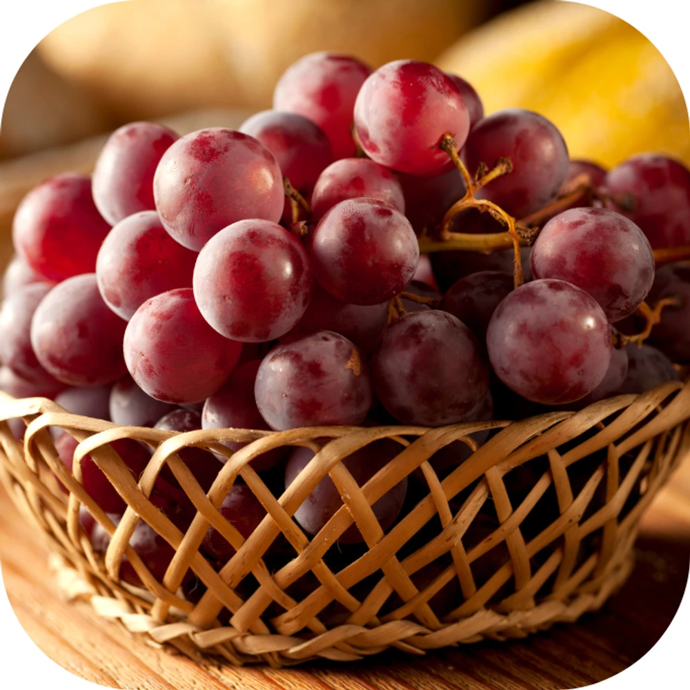 Bảo quản trái cây Kingfoodmart