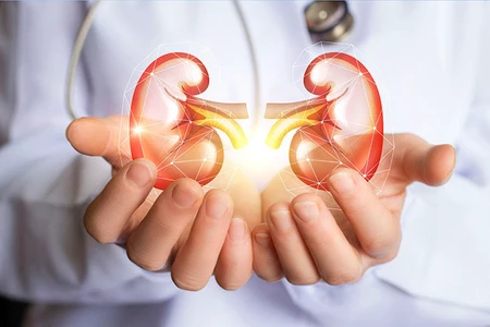 Bệnh nhân mới cấy ghép thận thì nên ăn gì?