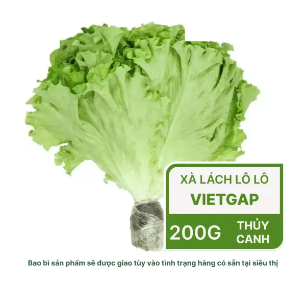 Xà lách lô lô thủy canh VietGAP gói 200g
