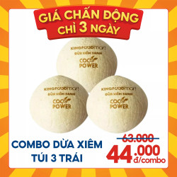 Combo dừa xiêm túi 3 trái (1 Túi)