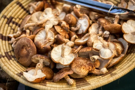Khám phá dinh dưỡng của nấm trong ẩm thực