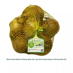 Hành tây Đà Lạt cỡ vừa gói 500g (1 Gói)