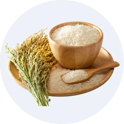 Gạo, đậu, bột, đồ khô