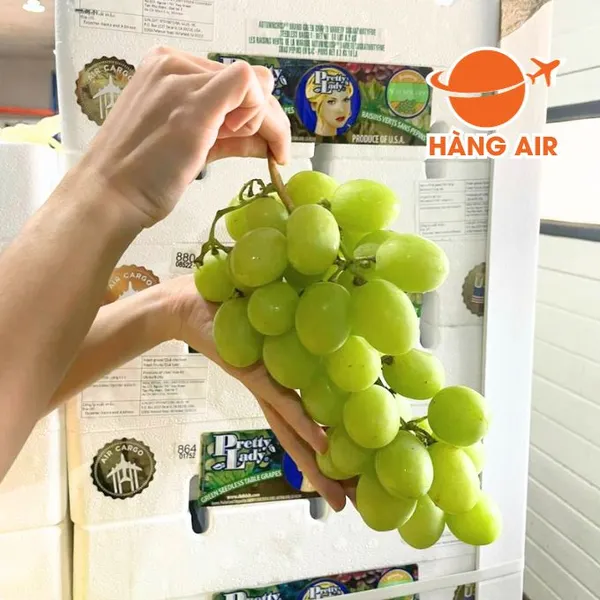 Nho xanh Mỹ Air Autumn Crisp