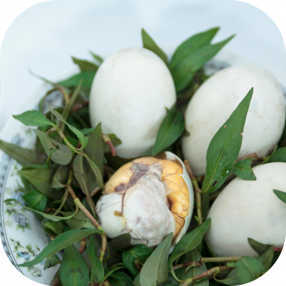 Những lợi ích và lưu ý khi ăn rau răm kingfoodmart