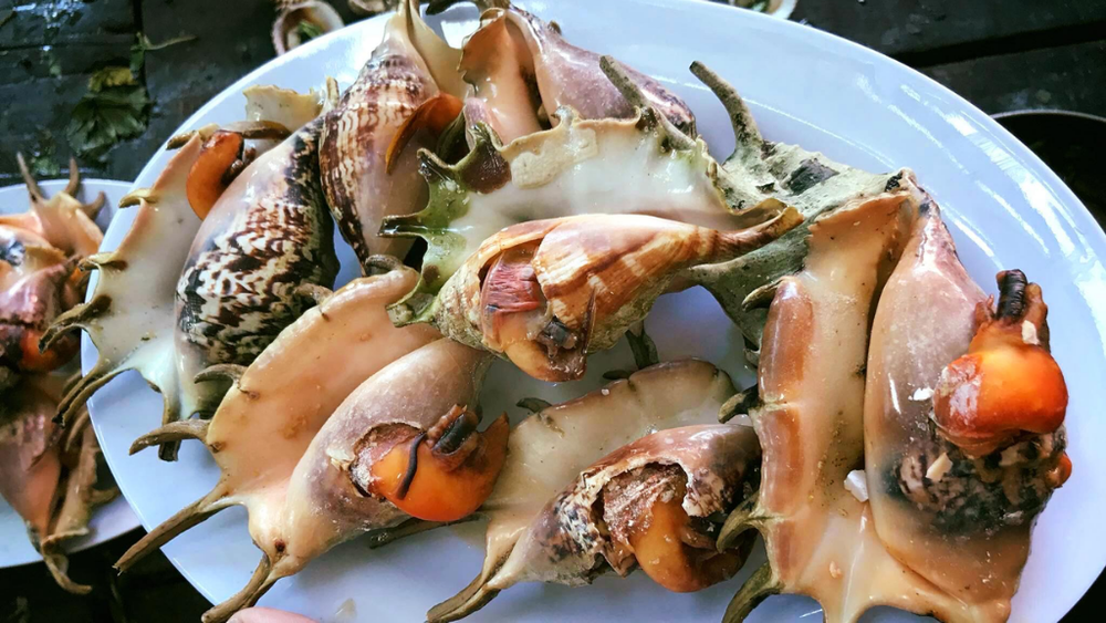 Ốc bàn tay hấp bia - đặc sản "hút hồn" không thể bỏ qua trong danh sách ốc ngon Nha Trang. (Nguồn: Internet)