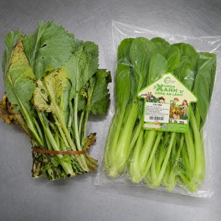 So sánh giá sản phẩm Tick Xanh và thị trường: Mua sắm xanh có thực sự đắt?