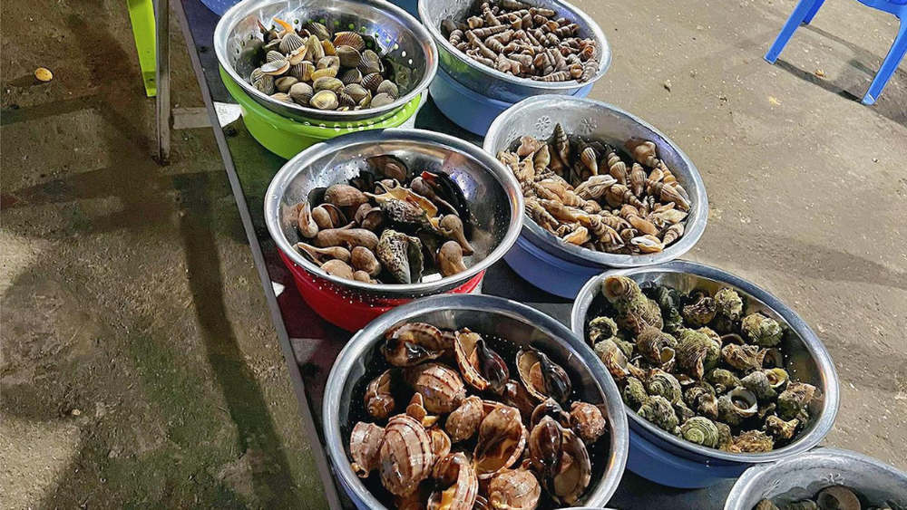 Ốc vỉa hè đường Phạm Văn Đồng giữa gió biển Nha Trang. (Nguồn: Internet)