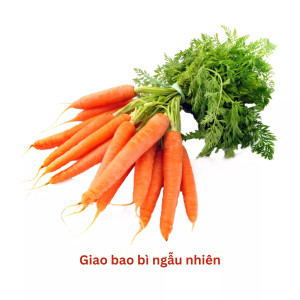 Cà rốt Đà Lạt VietGap gói 500g (1 Gói)