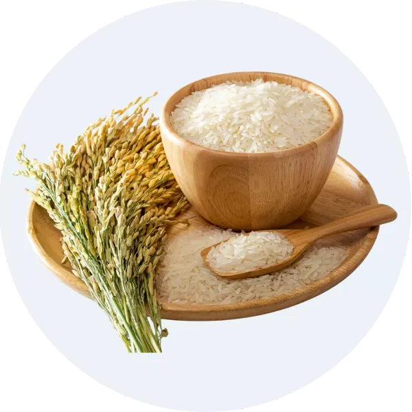 Gạo, đậu, bột, đồ khô