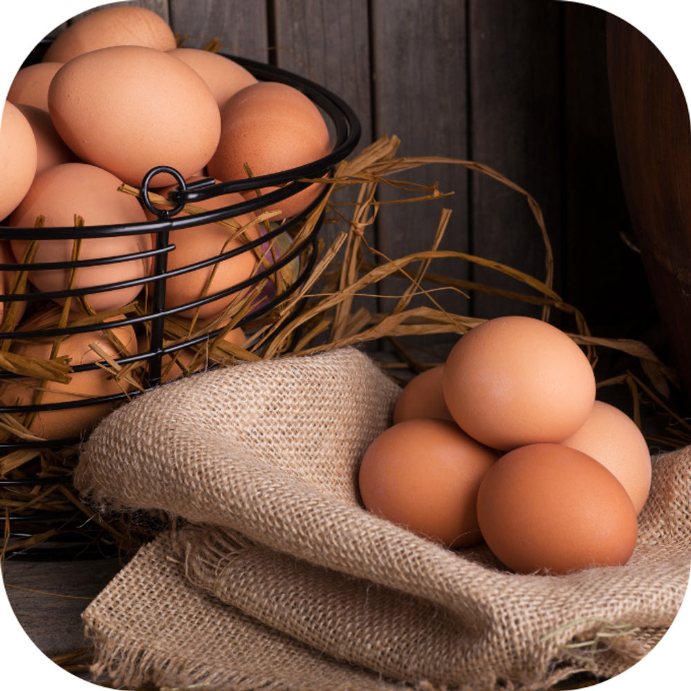 Trứng gà ngâm mật ong Kingfoodmart