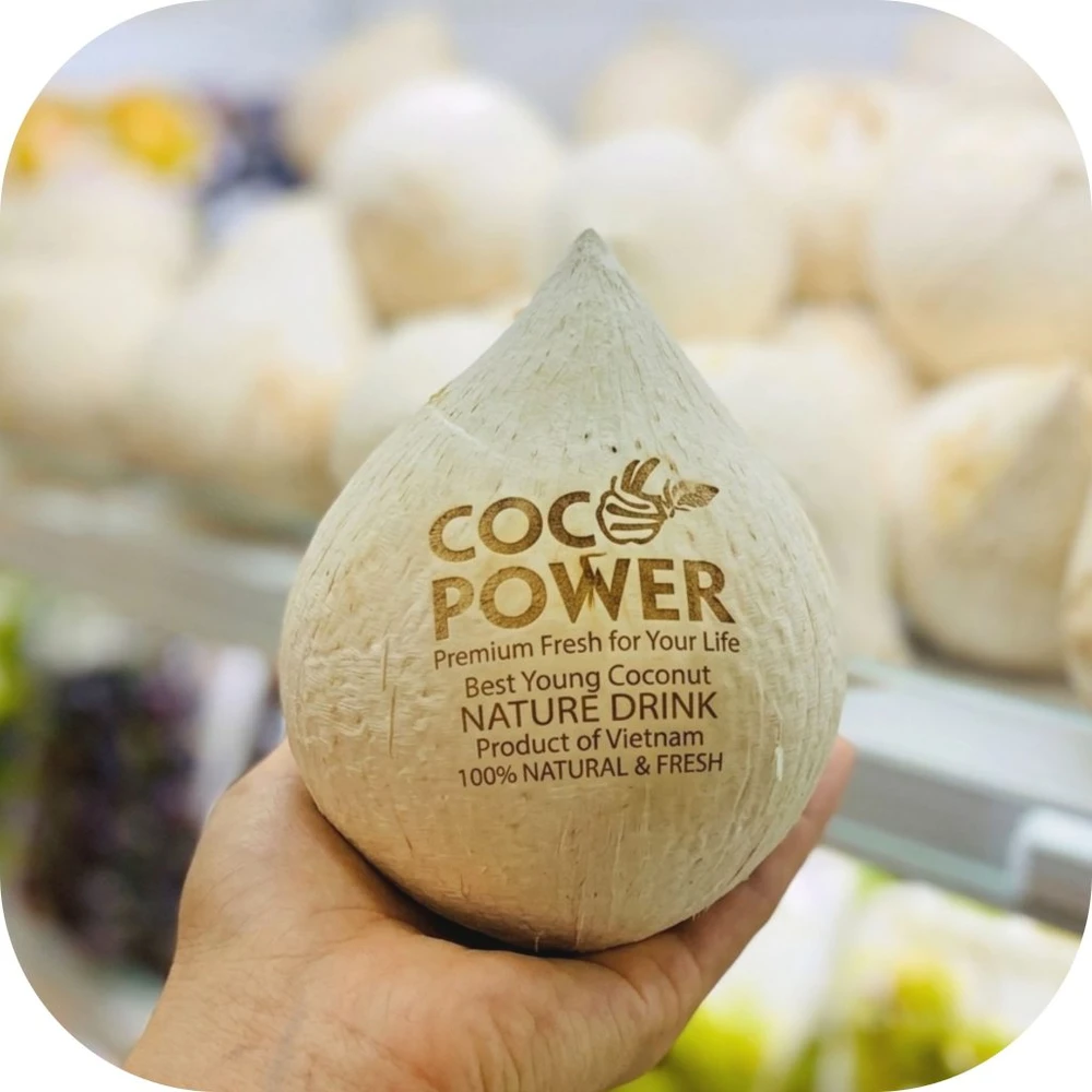 Coco-Power-1