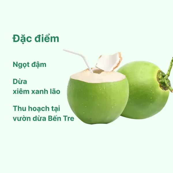 Combo dừa xiêm xanh 5 quả size 300-400g