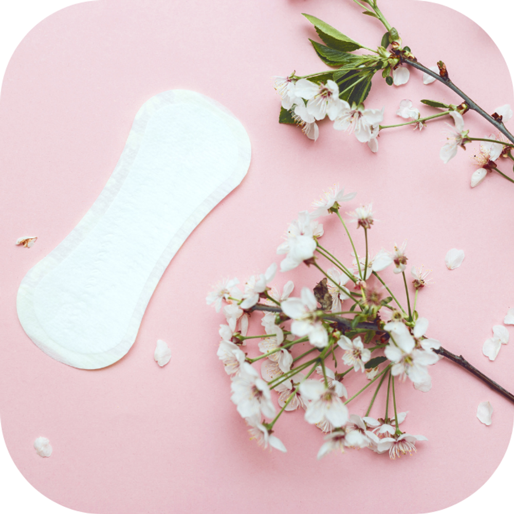 Băng vệ sinh Nhật Bản Kingfoodmart