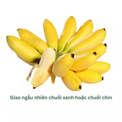 Chuối cau nhánh 900G (1 Nhánh)
