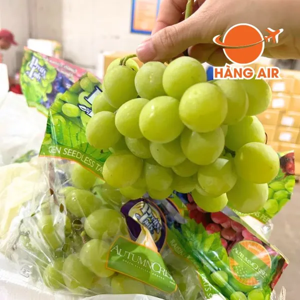 Nho xanh Mỹ Air Autumn Crisp