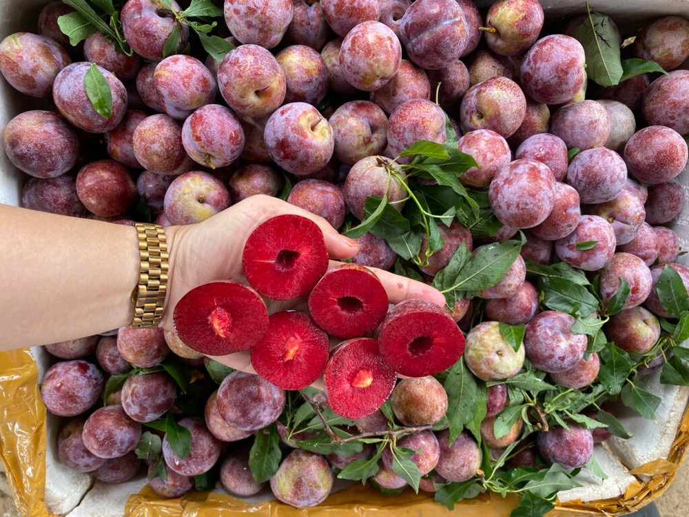 man-hau-phieng-khoai-son-la